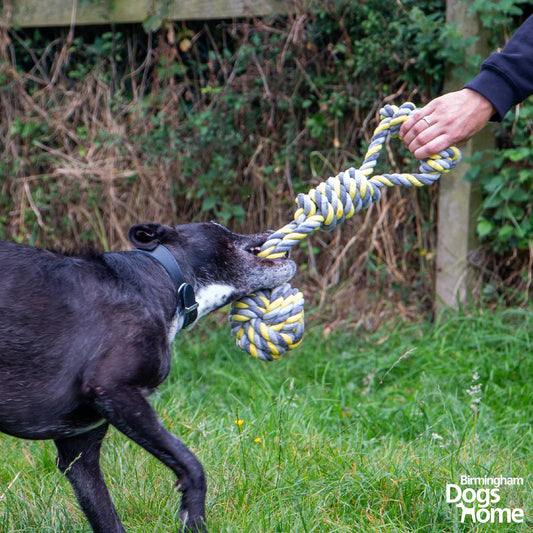 Playtime For Dogs - Jumbo Rope Tugger