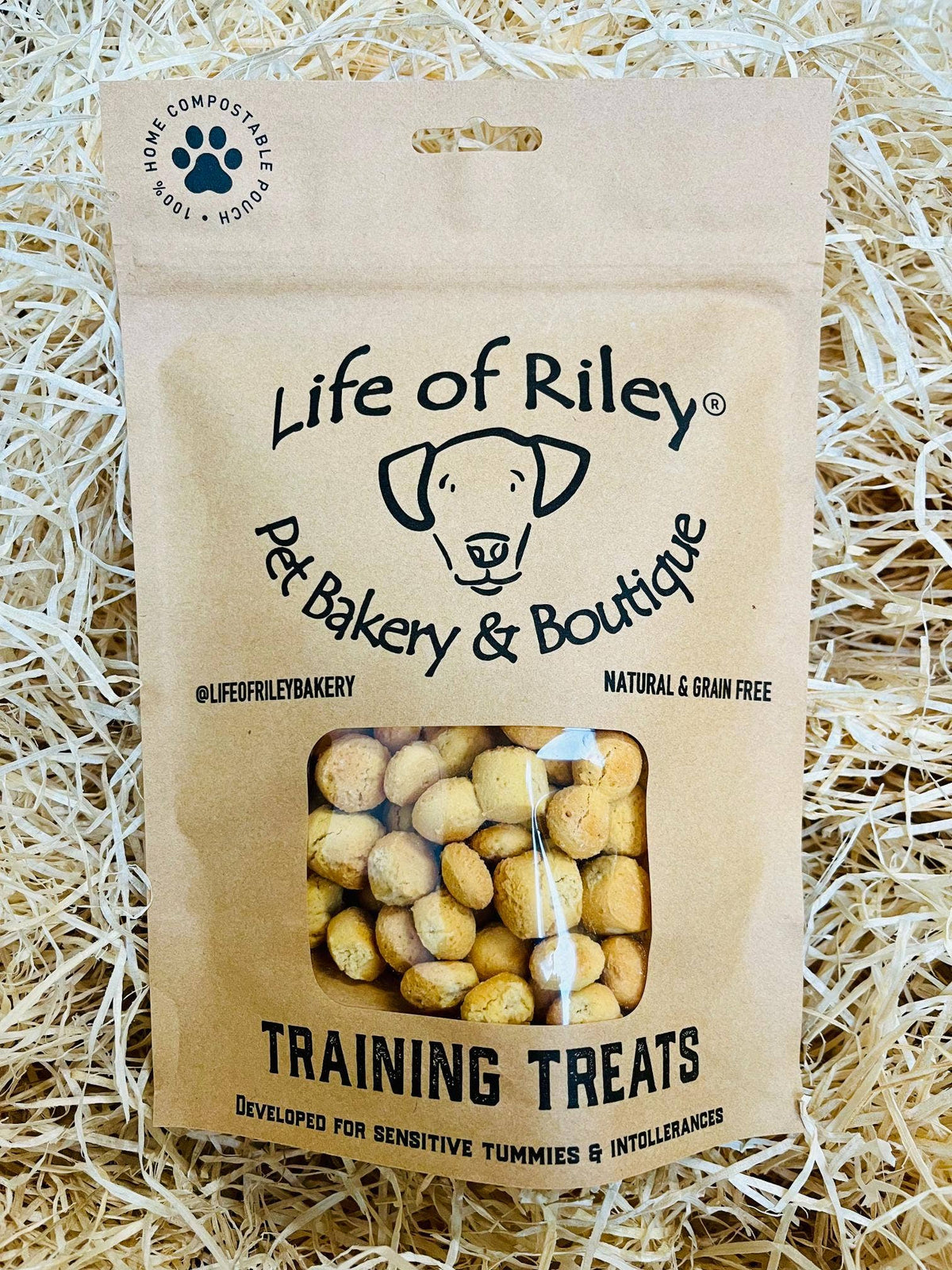CHEESY TRAINING TREATS