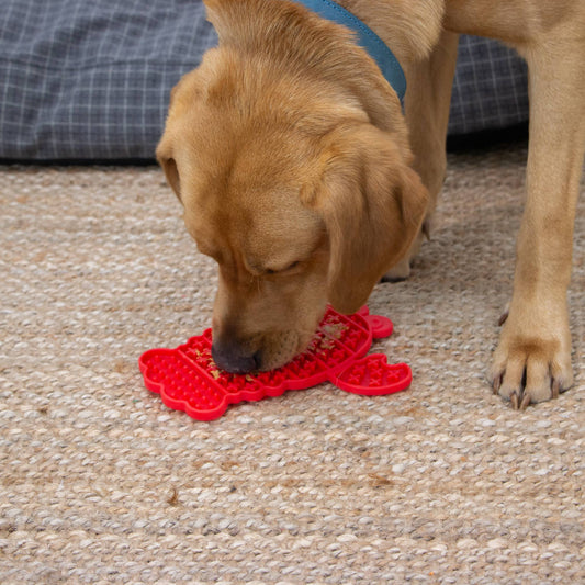 ÖRVA Lobster Lick Mat