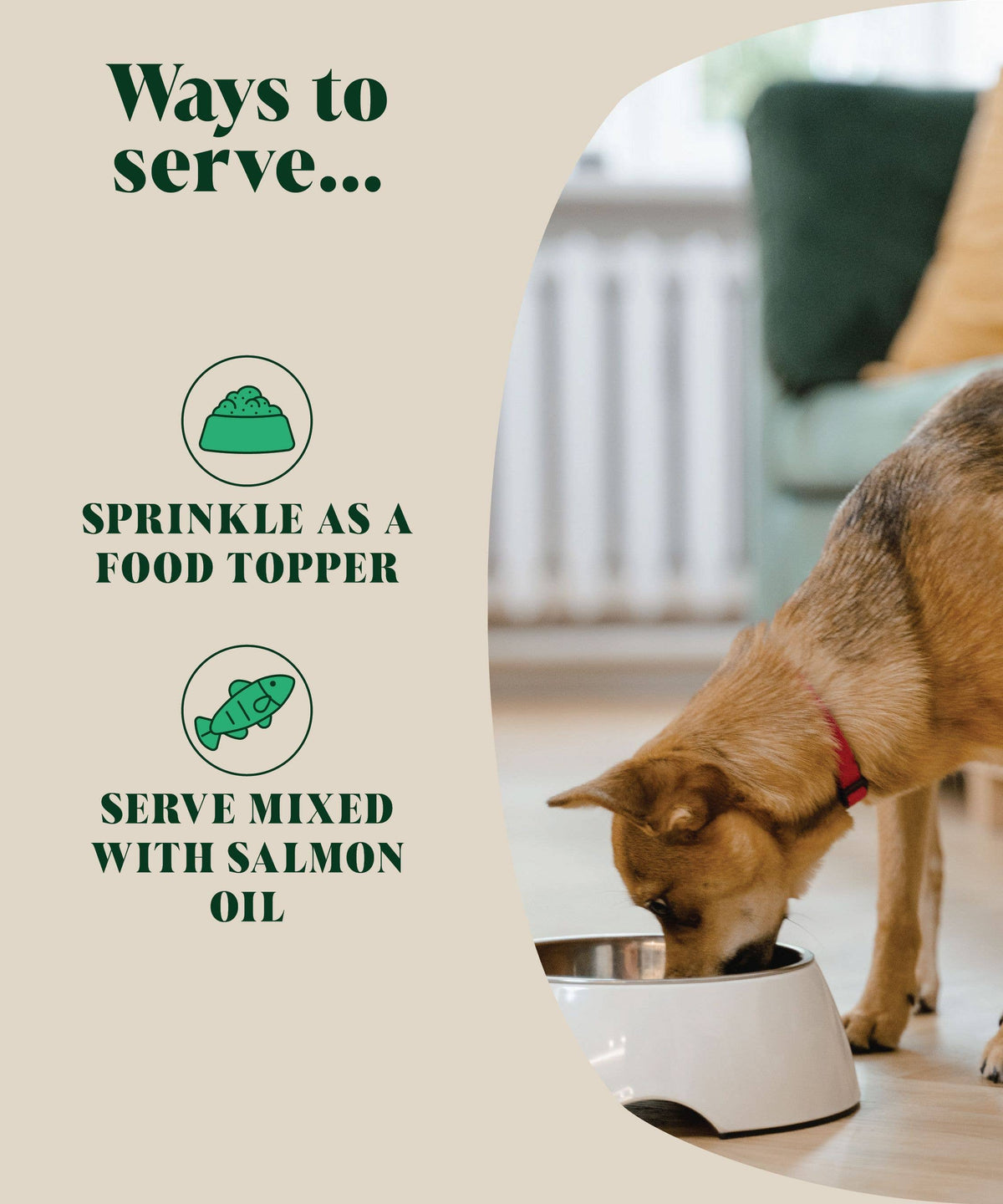 Natural Flea and Tick Powder for Dogs | Herbal Repellent