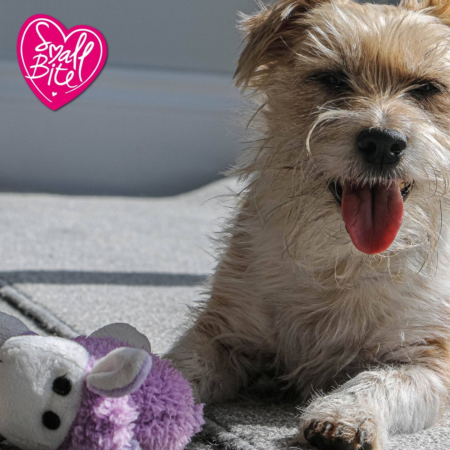 Small Bite Plush Lamb