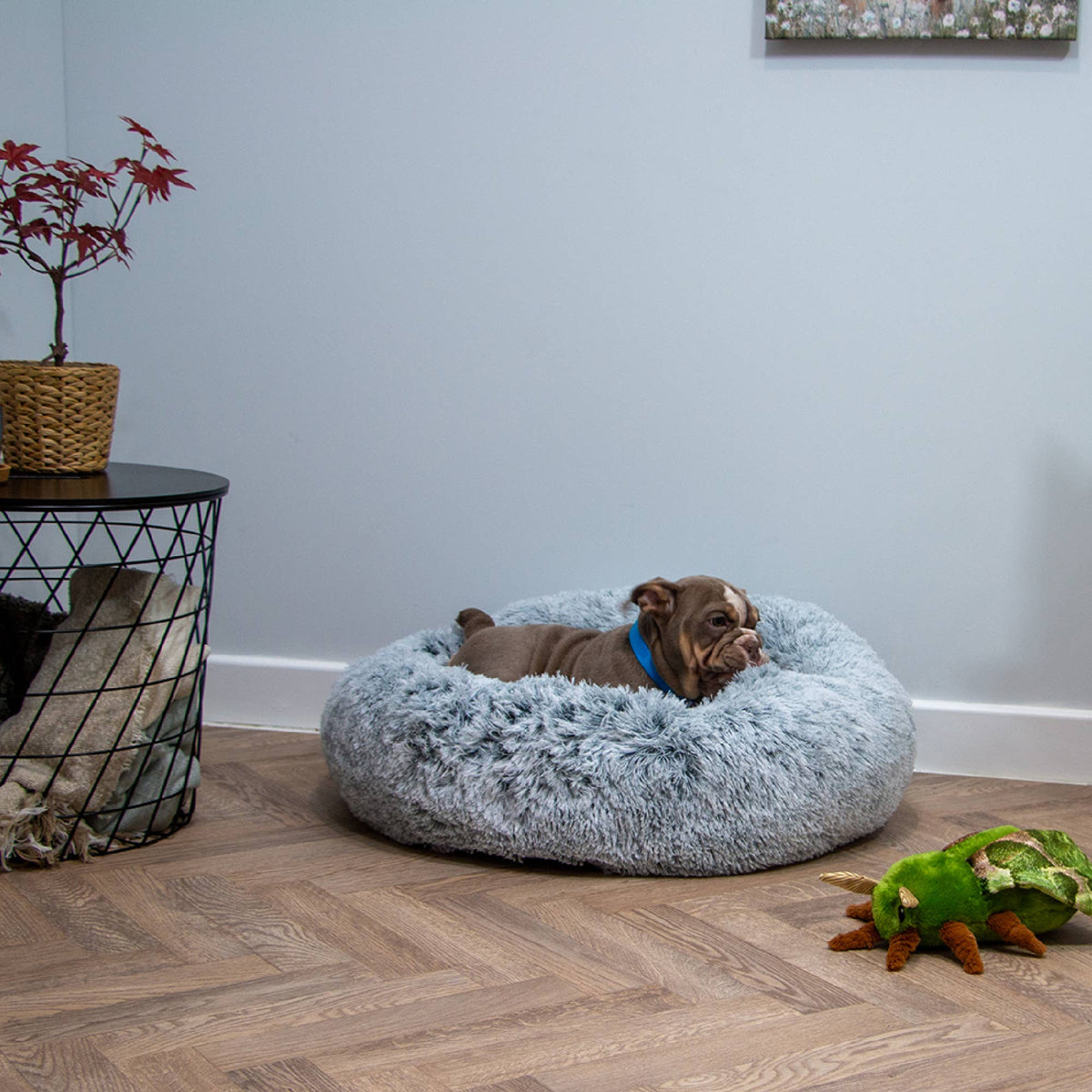 Super Soft Plush Donut Dog Bed Slate Grey
