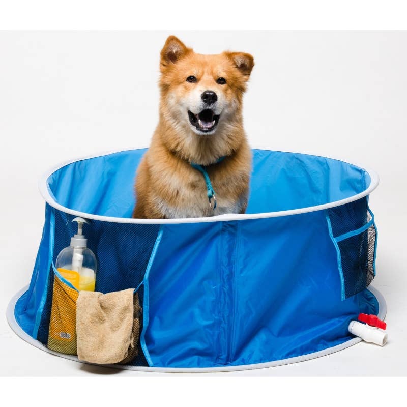 Pop Up Dog Pool/Bath