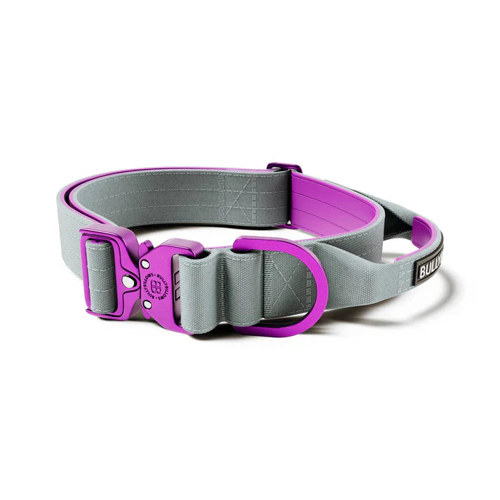 Collars and Leads