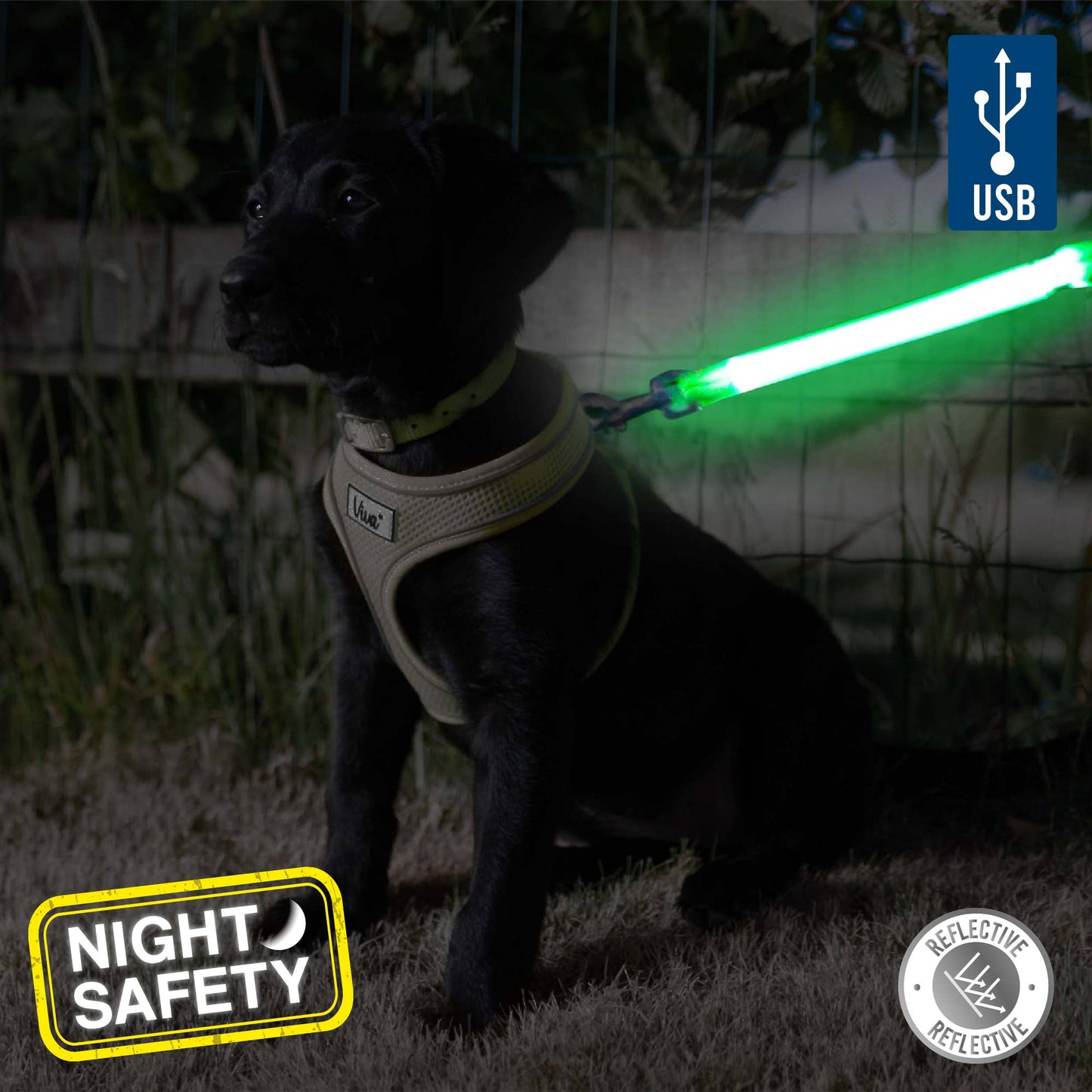 Hi-Vis Lead Attachment for Night Safety