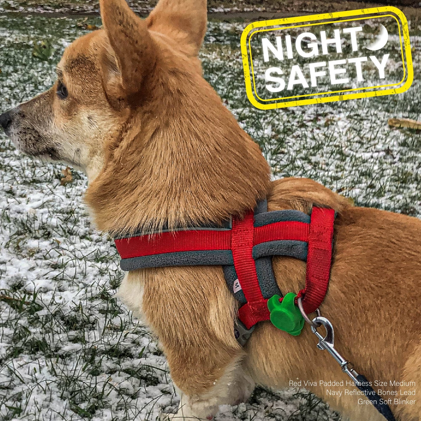 LED Soft Blinker - Safety Light for Dogs