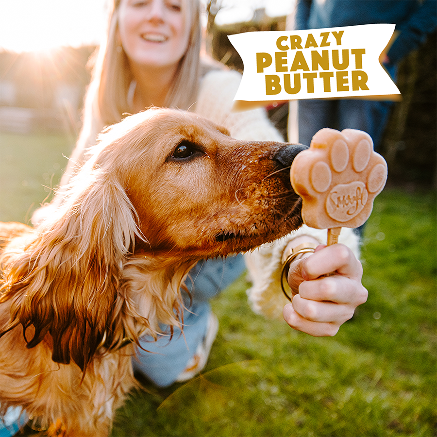 Peanut Butter Mix for Dog Ice Cream