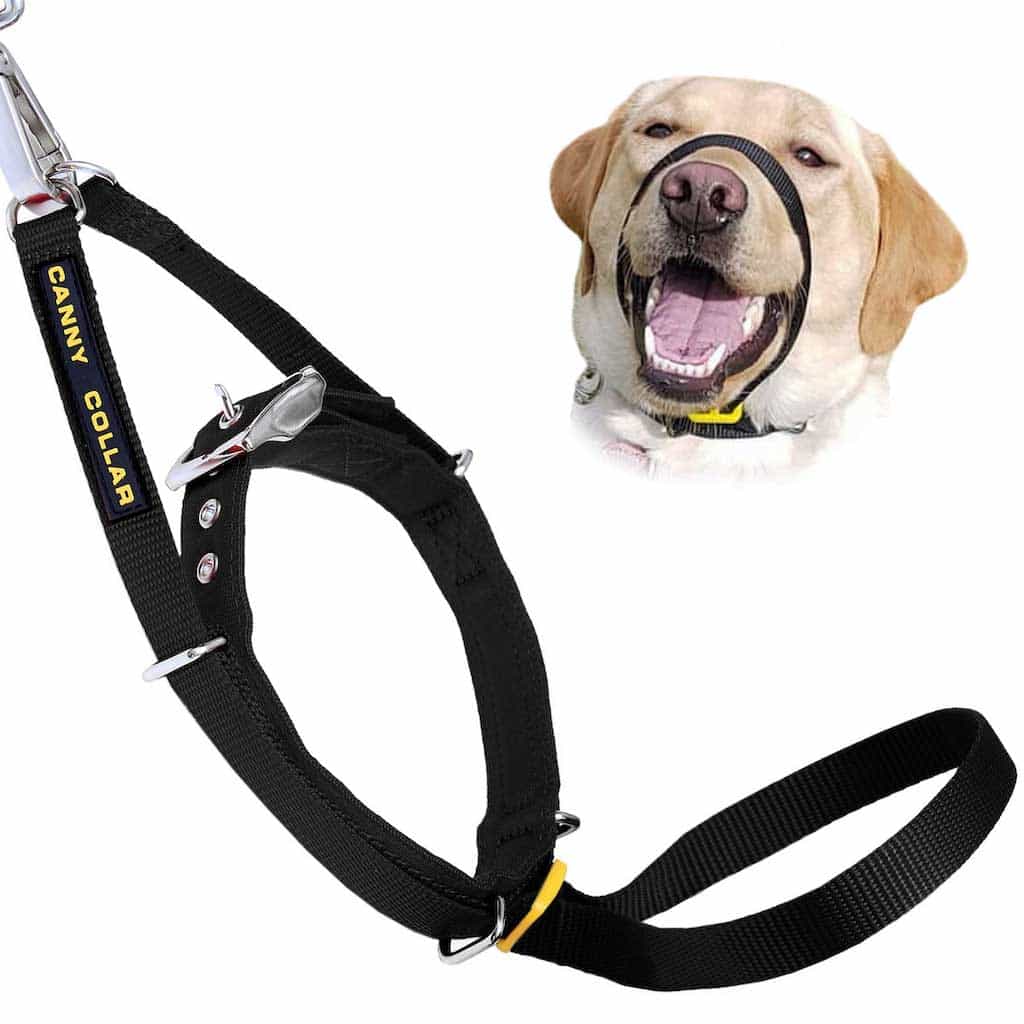 Canny Collar No Pull Dog Headcollar | Gentle, Kind, Comfy