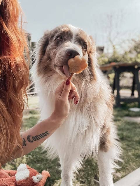 Peanut Butter Mix for Dog Ice Cream