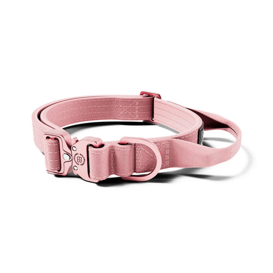 2.5cm LIGHTER Combat® Collar | With Handle Rated Clip - Pink x Pink