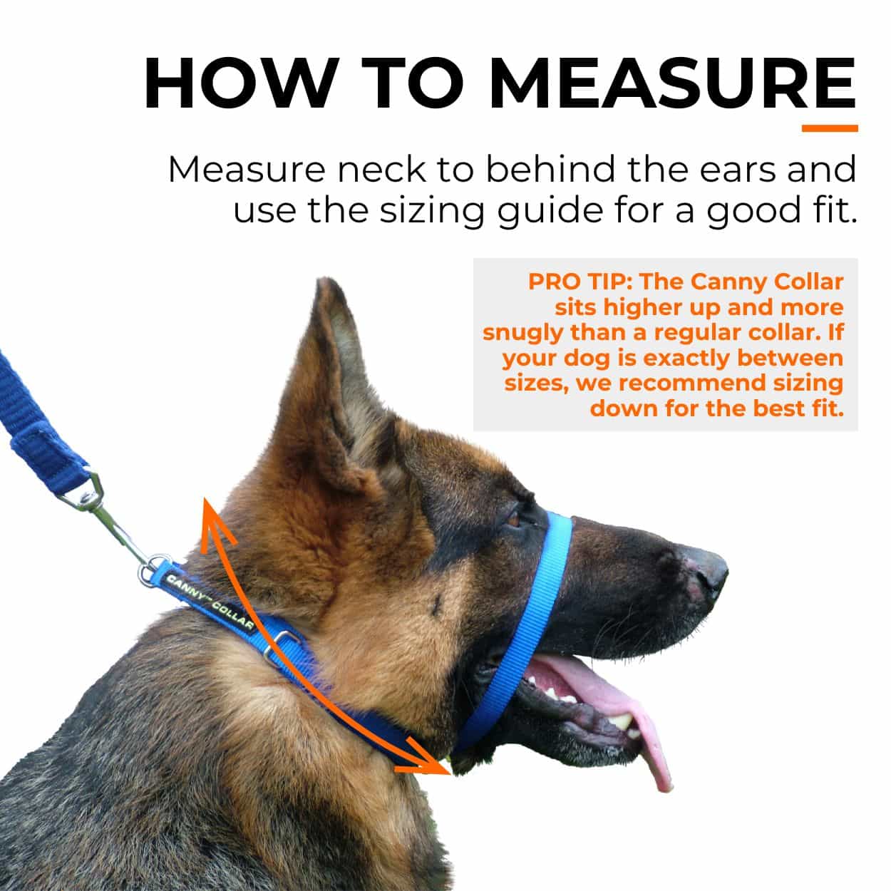 Canny Collar No Pull Dog Headcollar | Gentle, Kind, Comfy