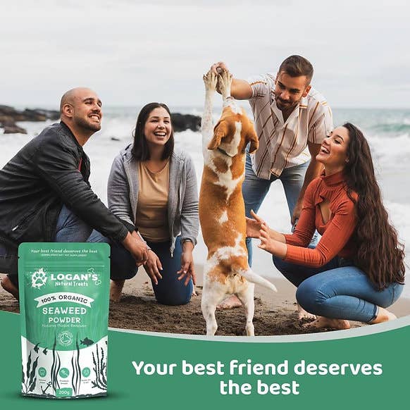 Organic Seaweed Powder - Pet Supplement - Dental Hygiene