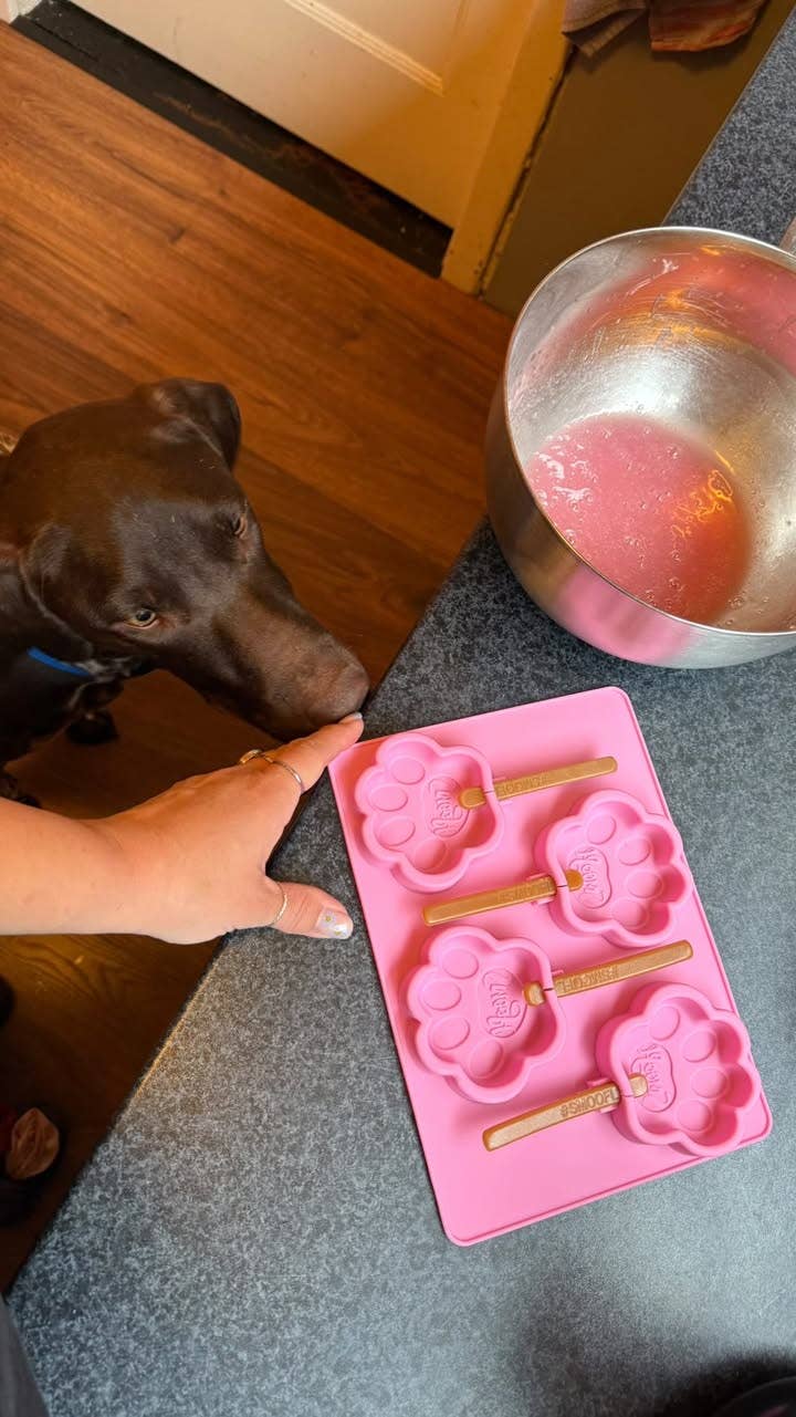 Strawberry Mix for Dog Ice Cream