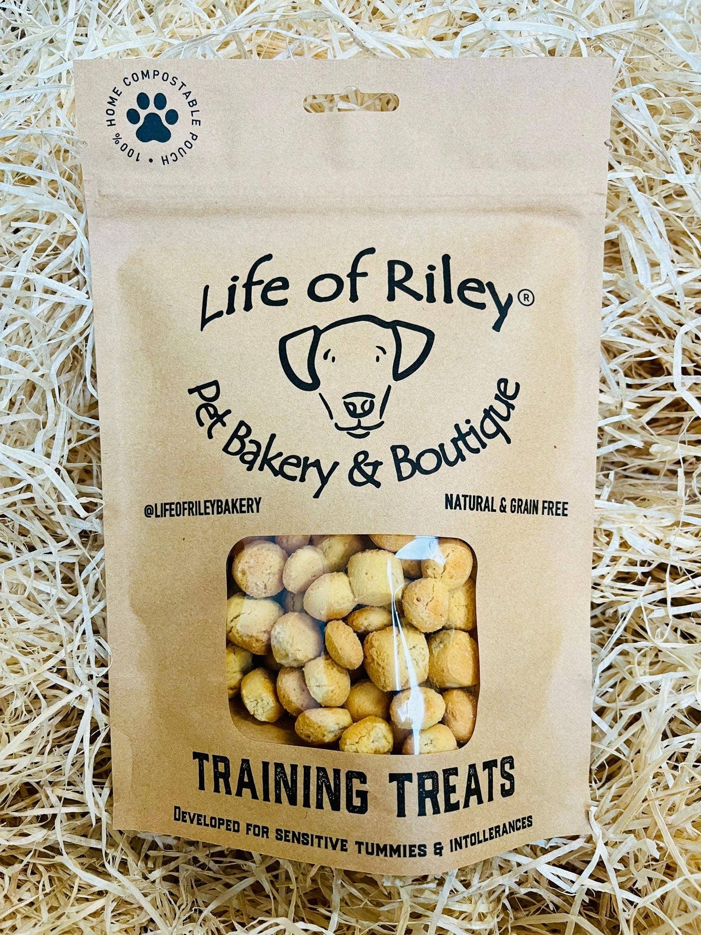 CHEESY TRAINING TREATS