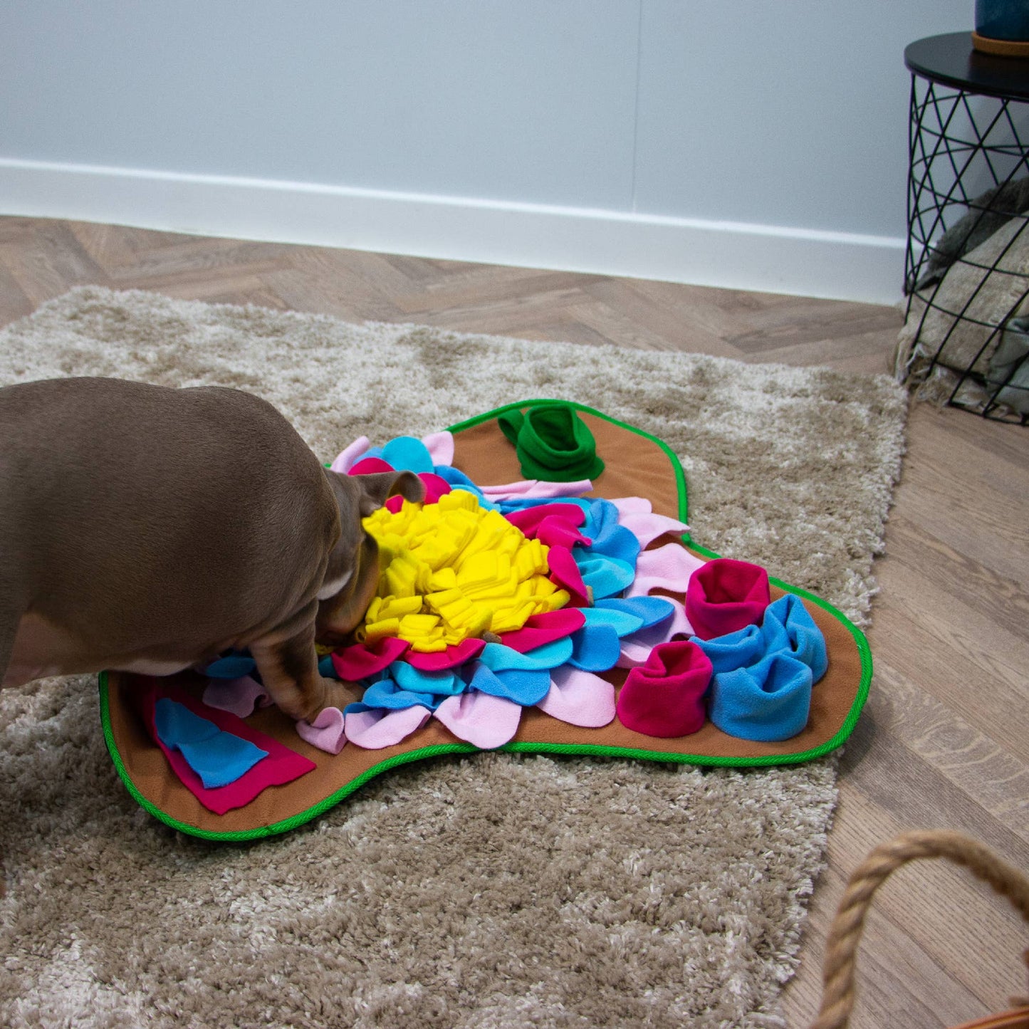 Snuffle Mat  - Dog Enrichment Toy