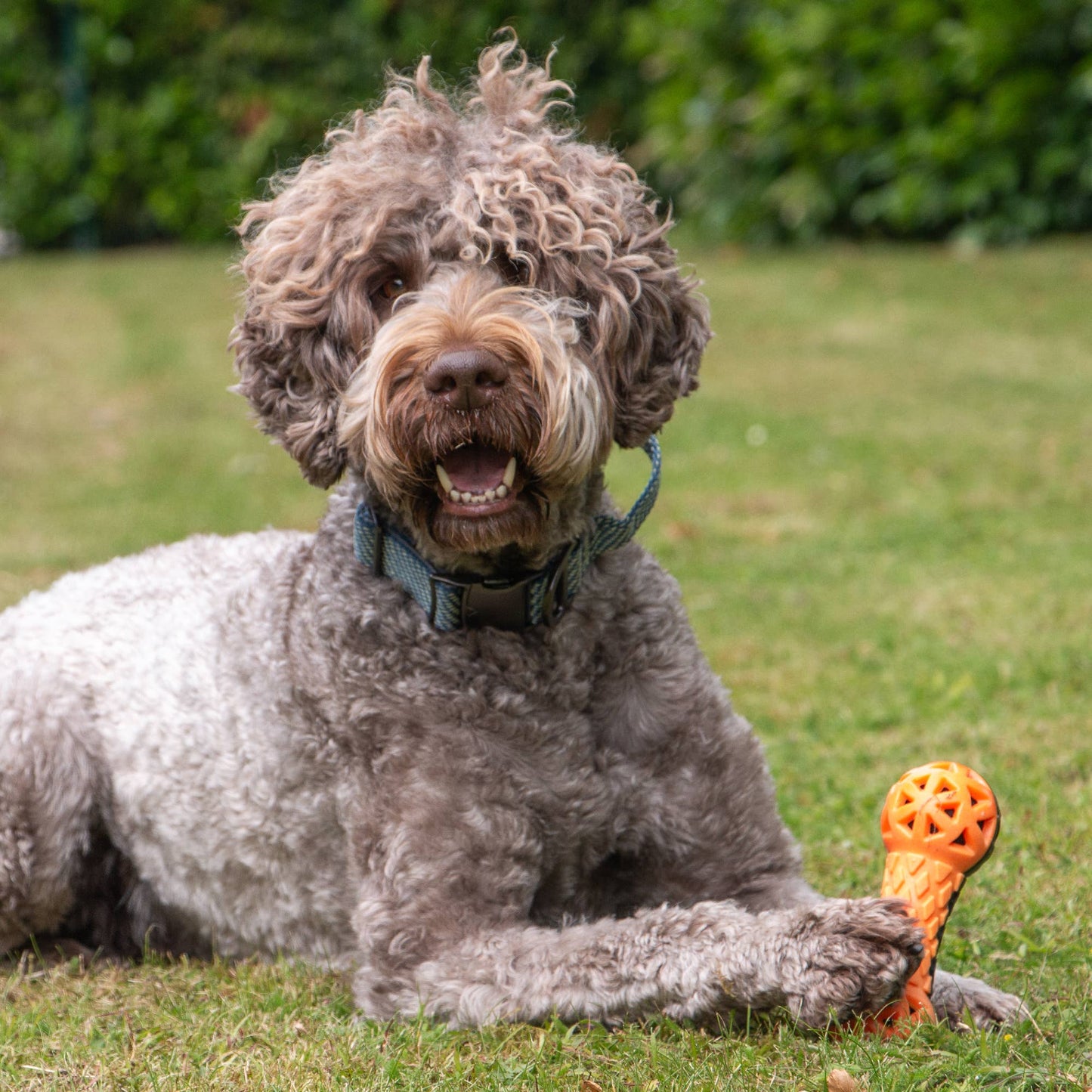 Extreme Floating Dumbell