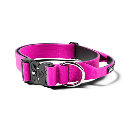 4cm Combat® Collar | With Handle & Rated Clip - Magenta