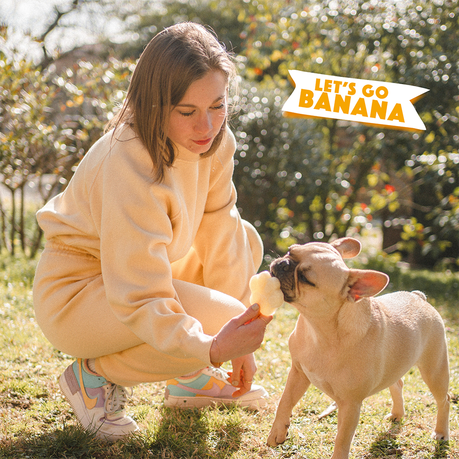 Banana Mix for Dog Ice Cream