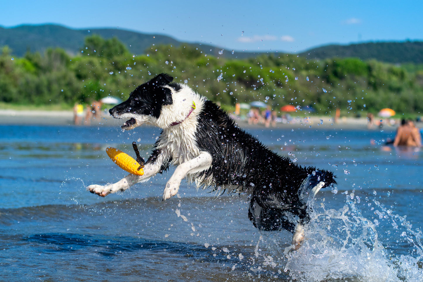 KIWI Walker ZEPPELIN Dog Toy - MAXI