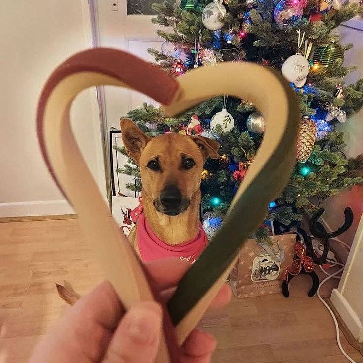 Xmas Veggie Cane