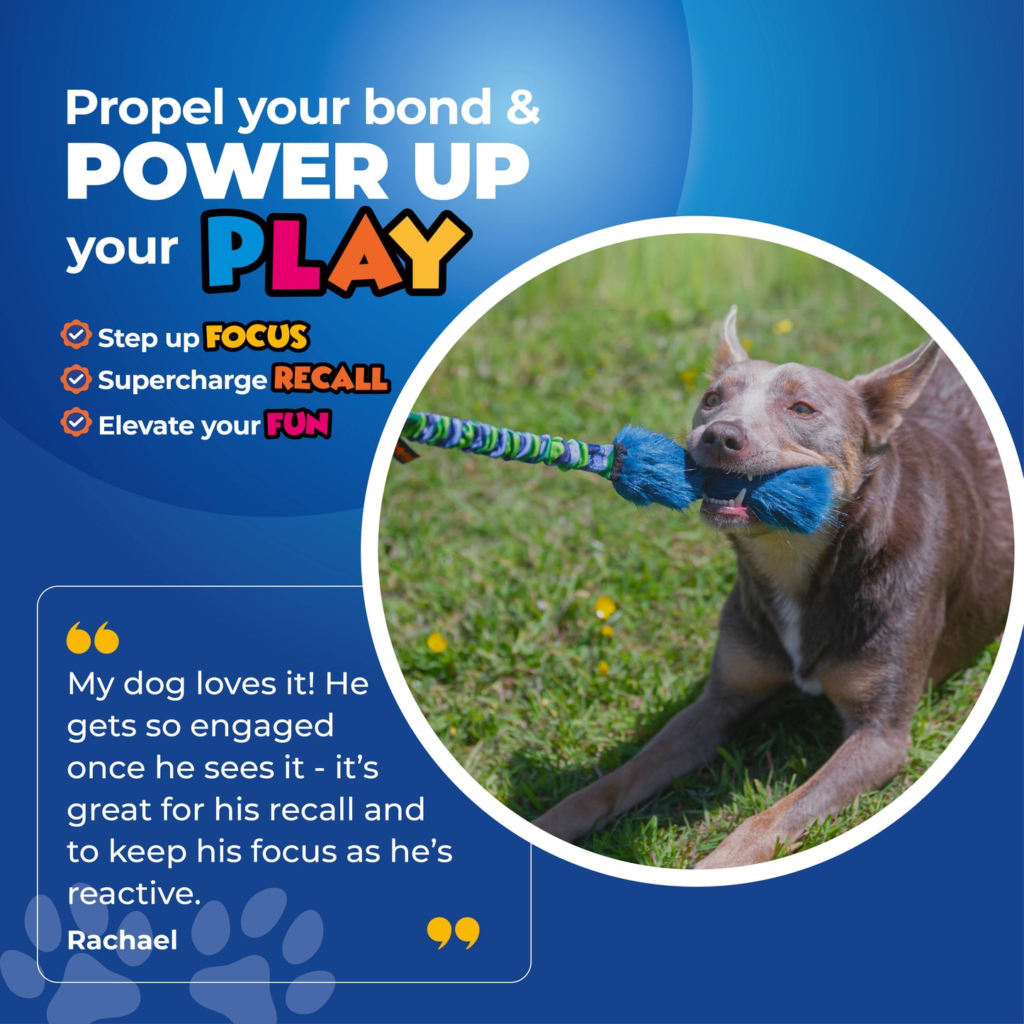 Bright Fauxtastic | Tough Dog Toy | Tug-E-Nuff