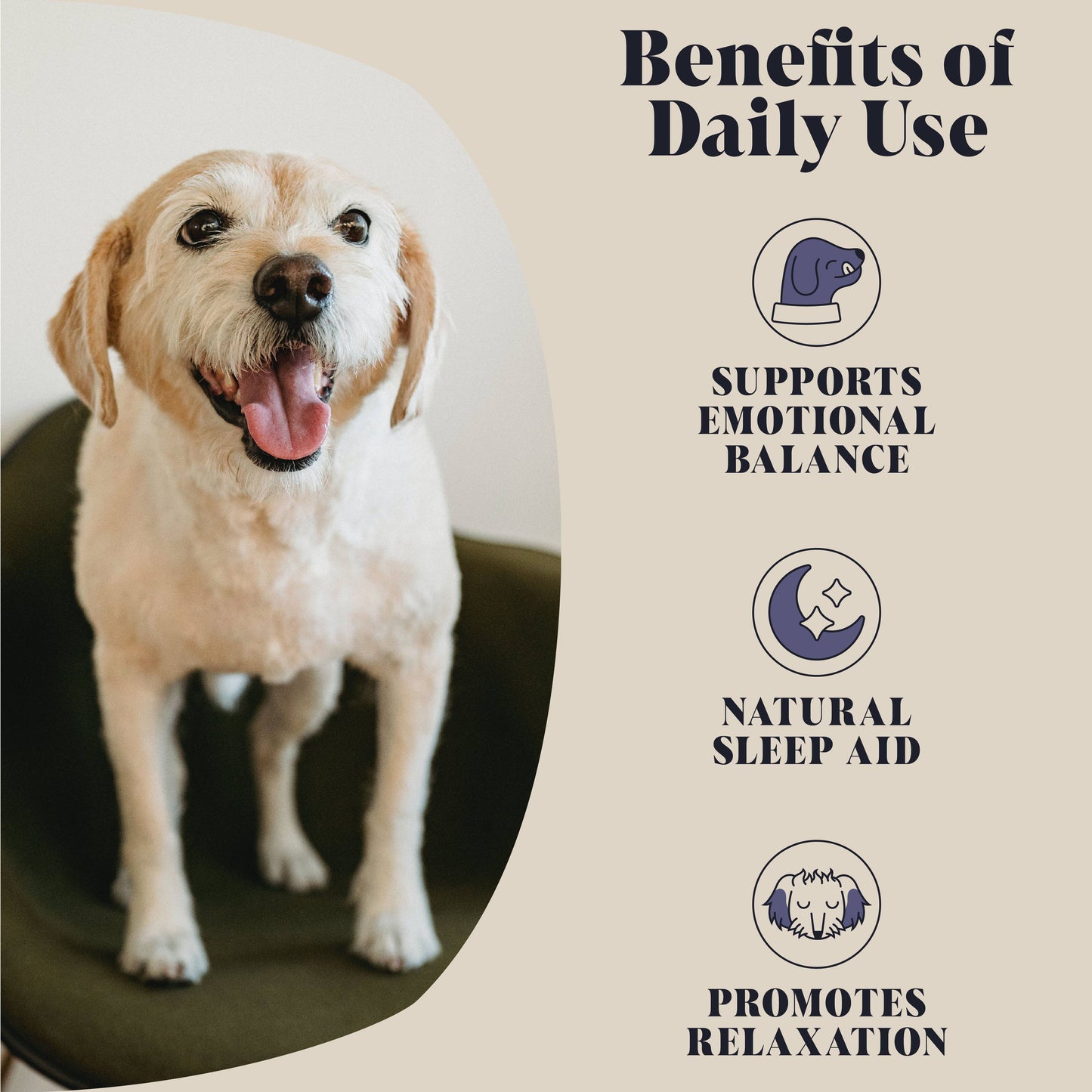 Calming Goats Milk Powder for Dogs | Makes Twelve Pints