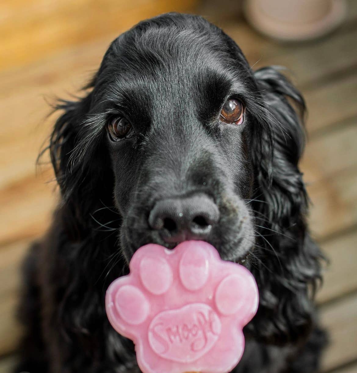 Strawberry Mix for Dog Ice Cream