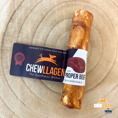 Chewllagen - 5Inch Roll