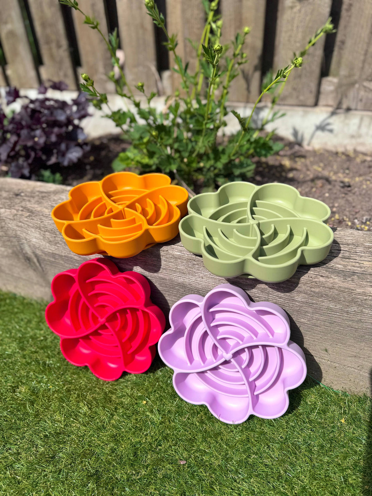 Spiral Bloom Enrichment Bowl