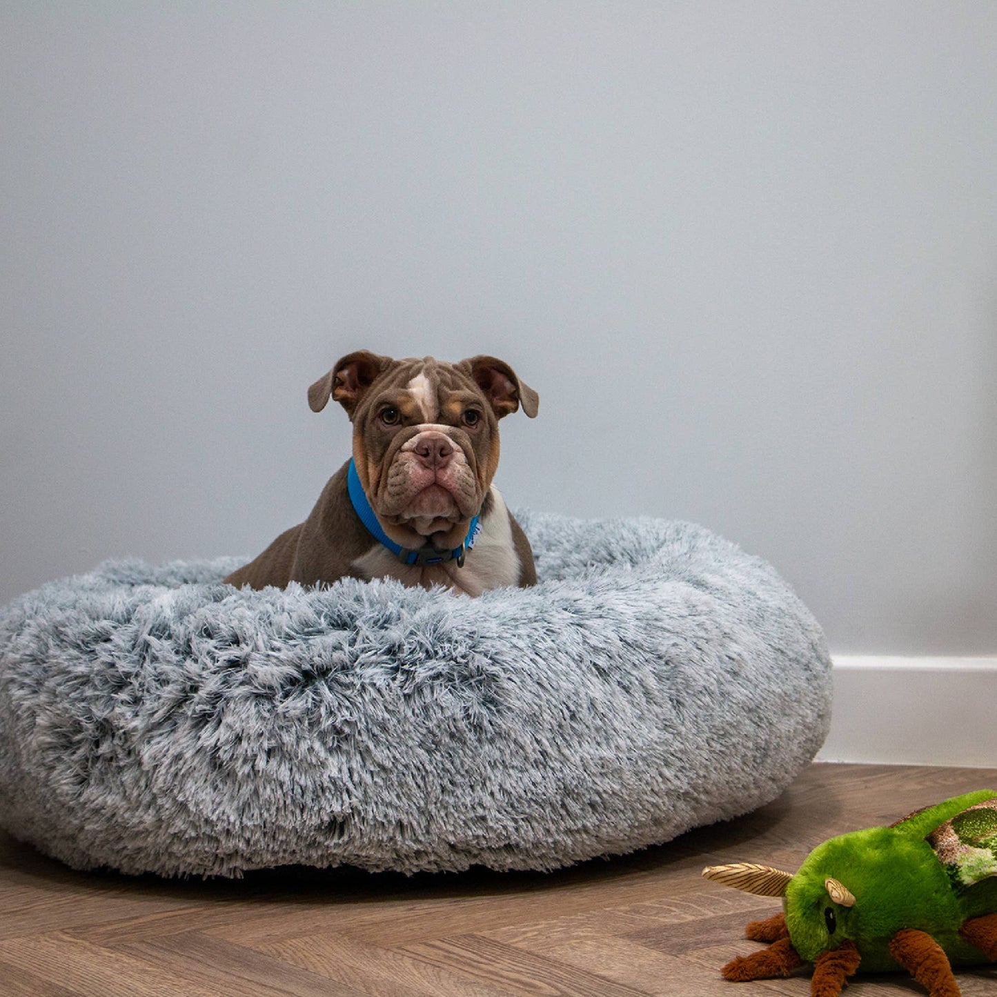Super Soft Plush Donut Dog Bed Slate Grey