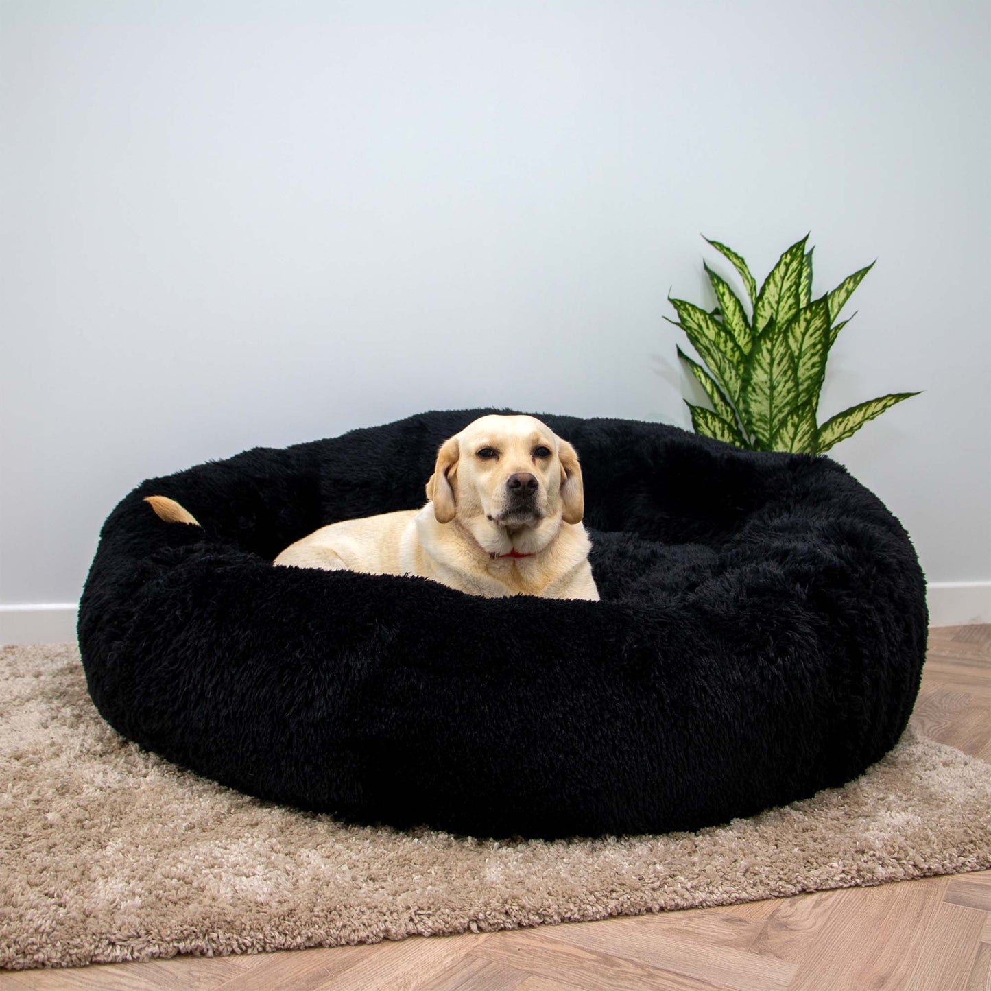 Giant Super Plush Donut Dog Bed 130cm Black