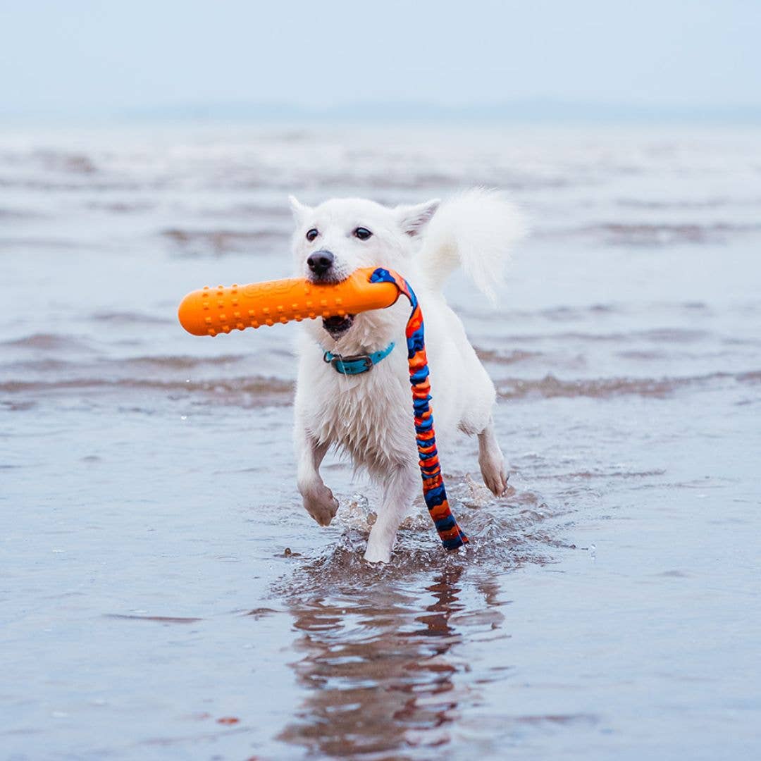 Tug-E-Nuff | BOB: The 3-in-1 Dummy | Fetch, tug, & float