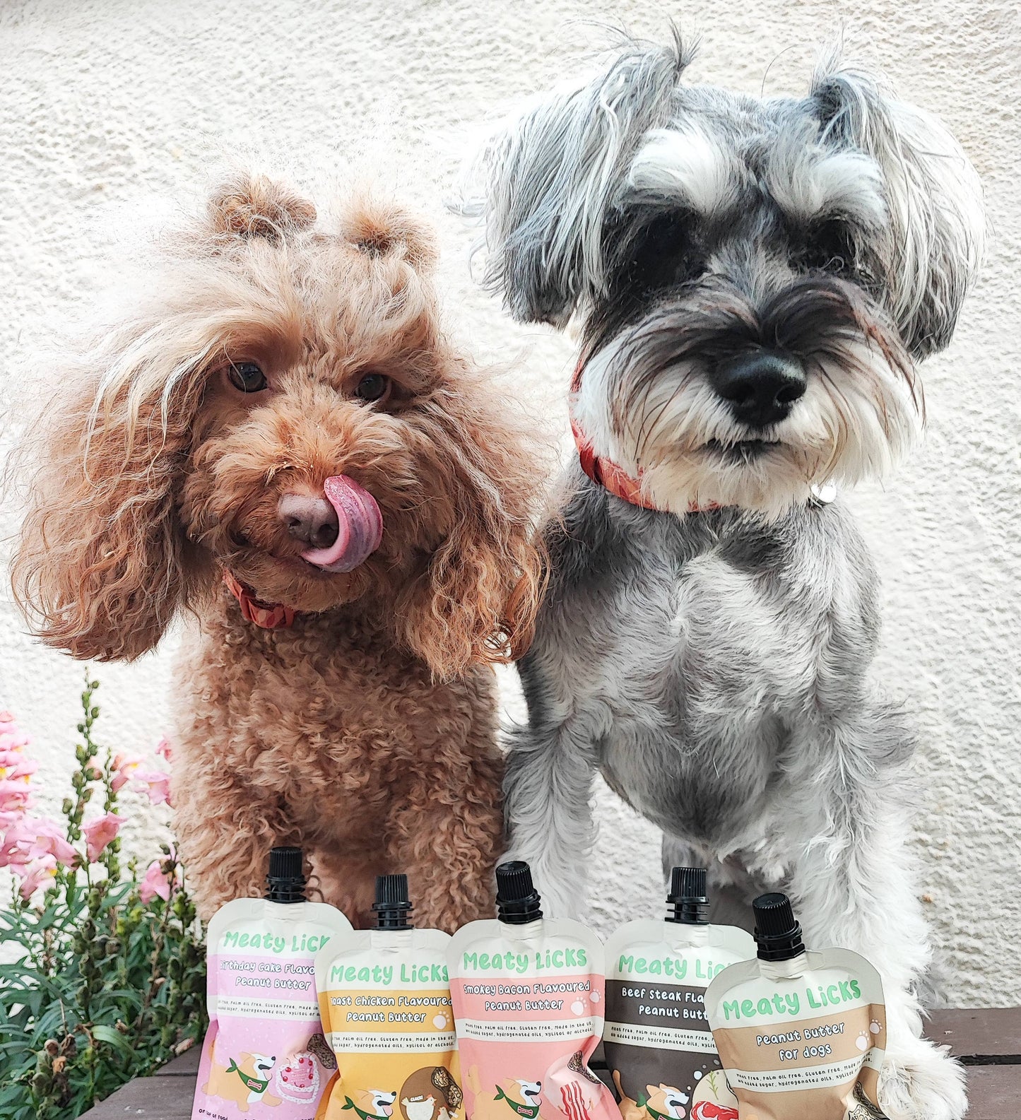Peanut Butter Pouch for dogs 113g 4oz