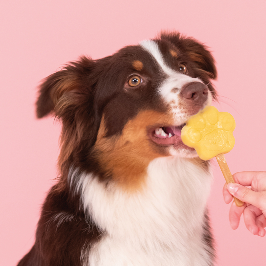Apple Mix for Dog Ice Cream