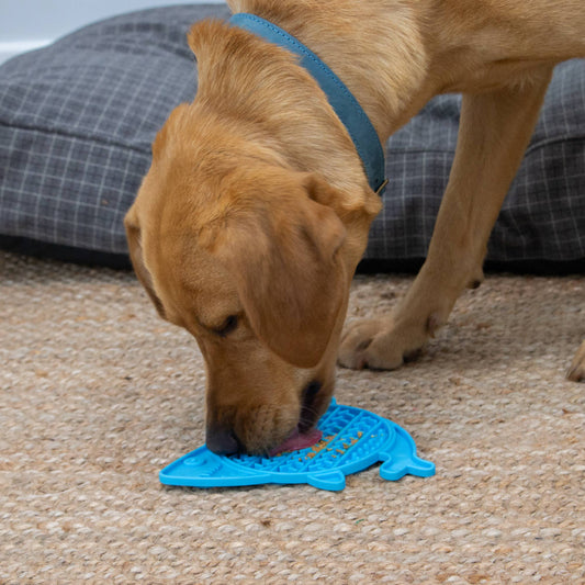ÖRVA Shark Lick Mat