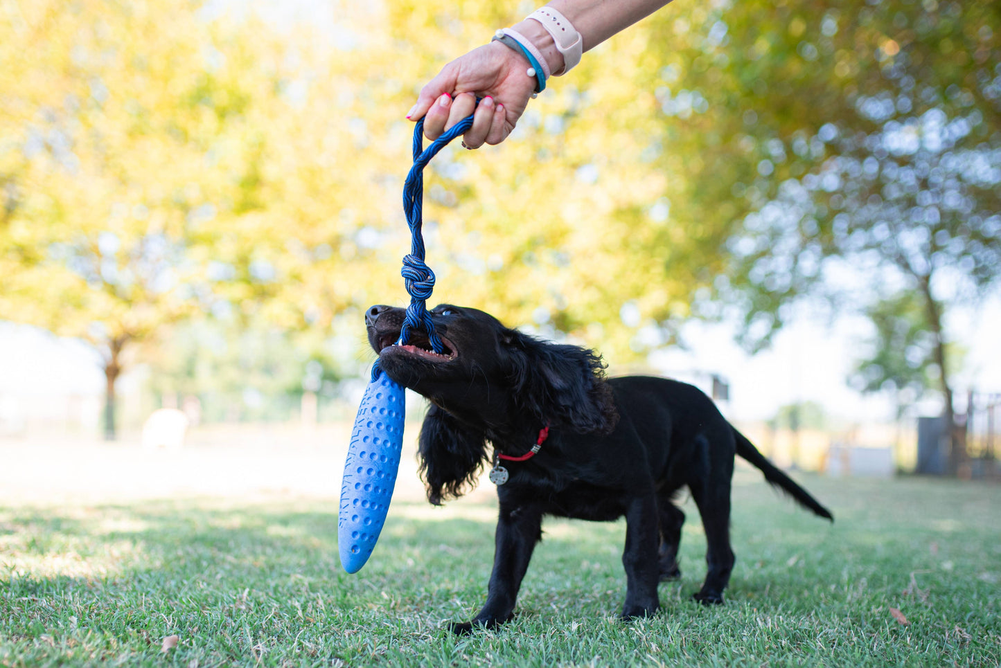 KIWI Walker ZEPPELIN Dog Toy - MAXI