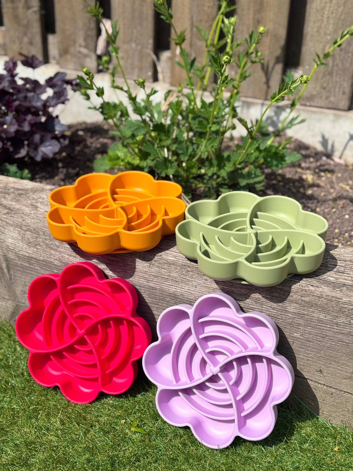 Spiral Bloom Enrichment Bowl