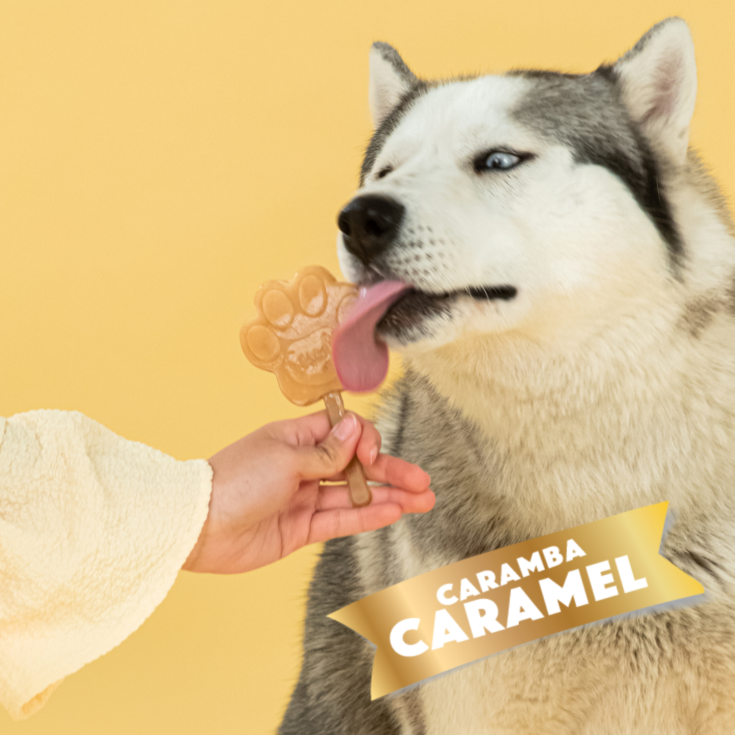 Creamy Caramel Mix for Dog Ice Cream