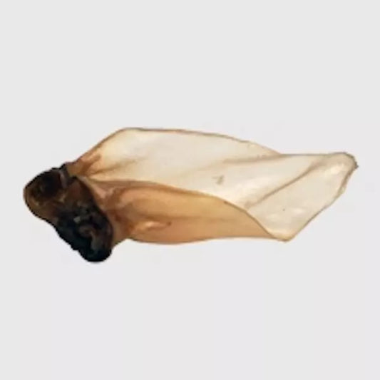 Buffalo Ear - Single