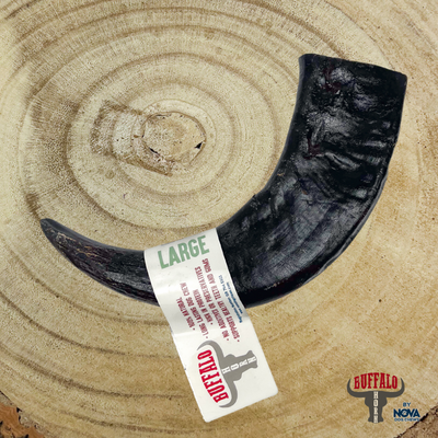 Buffalo Horn - Large