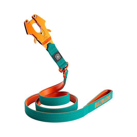 1.4m LIGHTER Swivel Combat Lead | Neoprene Lined, Secure Rated Clip with Soft Handle - Turquoise & Orange