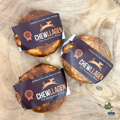 Chewllagen Donut