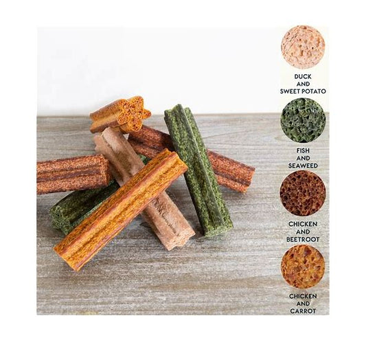 Elkwood- Dental Sponge Sticks
