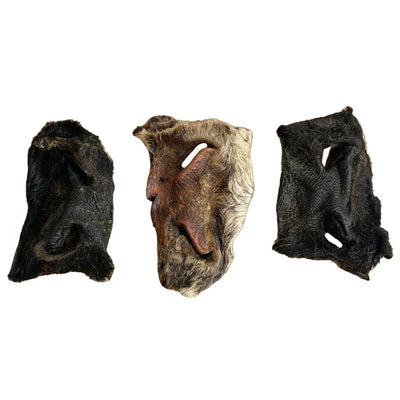 Hairy Beef Noses - 1 Piece