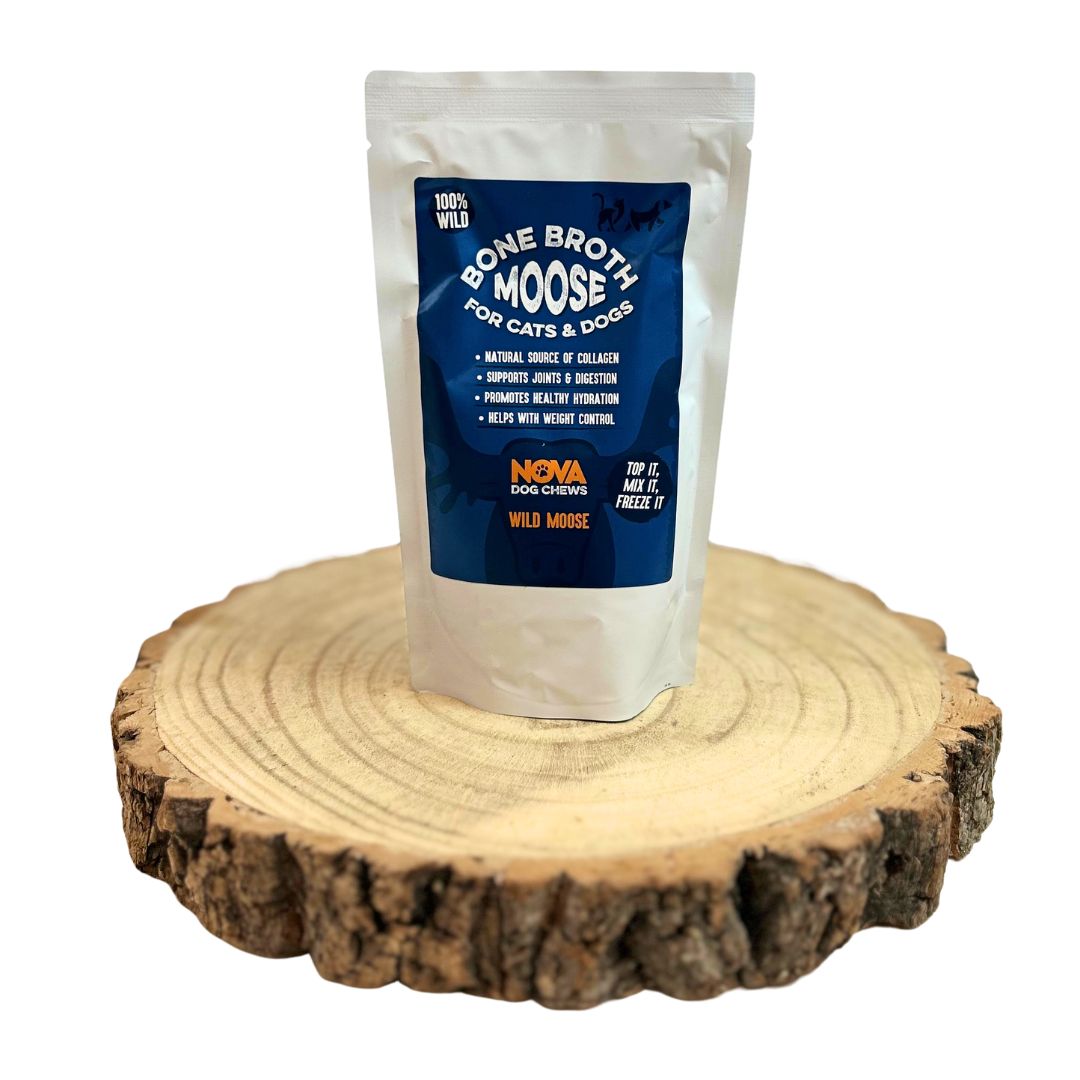 Frozen bone broth enrichment treats for dogs on a hot day