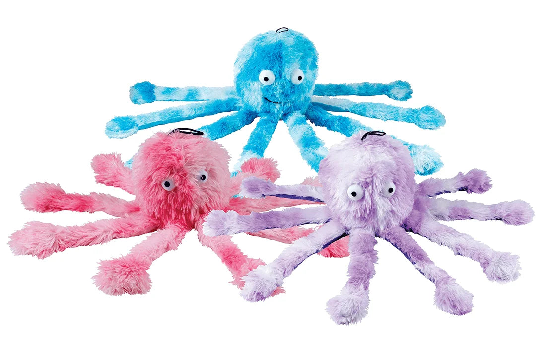 Reef Octopus