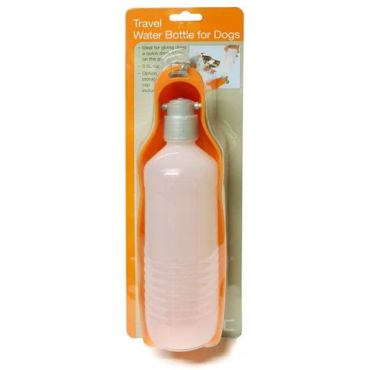 Travel Water Bottle