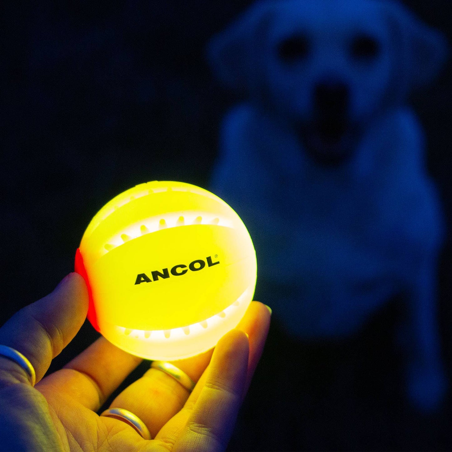 Rechargeable LED Dog Ball