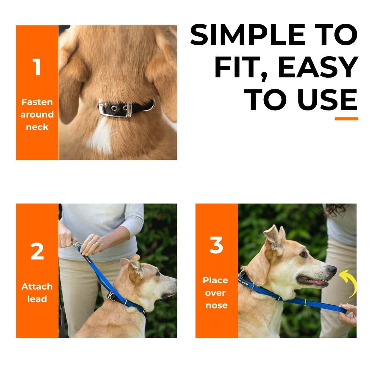 Canny Collar No Pull Dog Headcollar | Gentle, Kind, Comfy