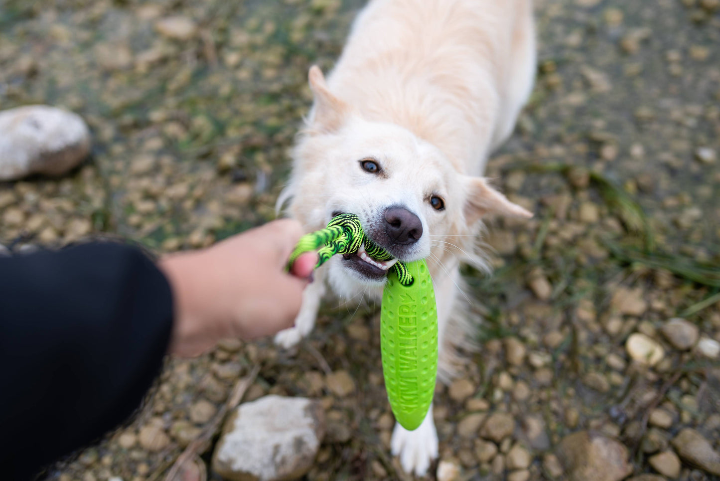 KIWI Walker ZEPPELIN Dog Toy - MAXI